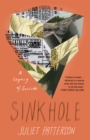 Sinkhole: A Natural History of a Suicide : A Natural History of a Suicide - Book