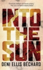Into the Sun - eBook