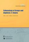 Cohomology of Groups and Algebraic K-theory - Book