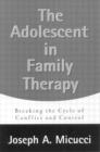 The Adolescent in Family Therapy : Harnessing the Power of Relationships - Book