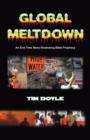 Global Meltdown - Book