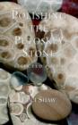 Polishing the Petoskey Stone : Selected Poems - Book