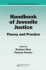 Handbook of Juvenile Justice : Theory and Practice - Book