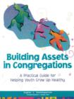 Building Assets in Congregations : A Practical Guide for Helping Youth Grow Up Healthy - Book