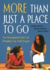 More Than Just a Place to Go : How Developmental Assets Can Strengthen Your Youth Program - Book