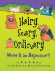 Hairy, Scary, Ordinary : What Is an Adjective? - eBook