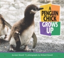A Penguin Chick Grows Up - eBook