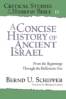 A Concise History of Ancient Israel : From the Beginnings Through the Hellenistic Era - Book