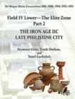 Tel Miqne 9/2 : The Iron Age IIC: Late Philistine City - Book