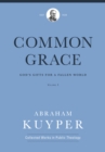 Common Grace (Volume 2) : God's Gifts for a Fallen World - eBook