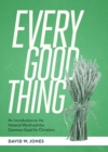 Every Good Thing : An Introduction to the Material World and the Common Good for Christians - eBook