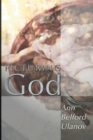 Picturing God - Book