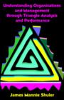 Understanding Organizations and Management Through Triangle Analysis and Performance - Book