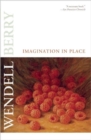 Imagination In Place - Book