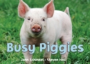 Busy Piggies - Book