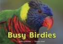 Busy Birdies - Book