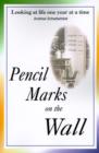 Pencil Marks on the Wall : Looking at Life One Year at a Time - Book