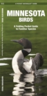 Minnesota Birds : A Folding Pocket Guide to Familiar Species - Book