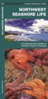 Northwestern Seashore Life : A Folding Pocket Guide to Familiar Plants & Animals - Book