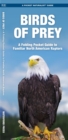 Birds of Prey : A Folding Pocket Guide to Familiar North American Species - Book