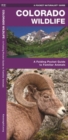 Colorado Wildlife : A Folding Pocket Guide to Familiar Animals - Book