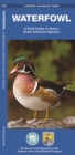 Waterfowl : A Field Guide to Native North American Species - Book