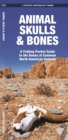 Animal Skulls & Bones : A Folding Pocket Guide to the Bones of Common North American Animals - Book