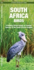 South Africa Birds : A Folding Pocket Guide to Familiar Species - Book
