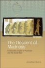 The Descent of Madness : Evolutionary Origins of Psychosis and the Social Brain - Book