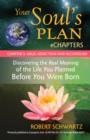 Your Soul's Plan eChapters - Chapter 5: Drug Addiction and Alcoholism - eBook