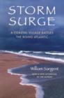 Storm Surge - Book