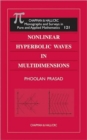 Nonlinear Hyperbolic Waves in Multidimensions - Book