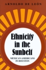 Ethnicity in the Sunbelt : Mexican Americans in Houston - Book
