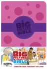 Big Picture Interactive Bible-HCSB - Book