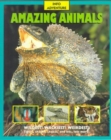 Info Amazing Animals - Book