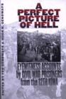 A Perfect Picture Of Hell : Eyewitness Accounts By Civil War Prisoners From 12Th Io - eBook