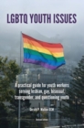 LGBTQ Youth Issues : A Practical Guide for Youth Workers Serving Lesbian, Gay, Bisexuual, Transgender, and Questioning Youth - Book