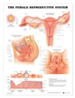 The Female Reproductive System Anatomical Chart - Book