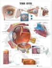 The Eye Anatomical Chart - Book