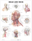 Head and Neck Anatomical Chart - Book