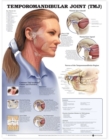 Temporomandibular Joint (TMJ) Anatomical Chart - Book