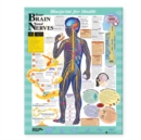 Blueprint for Health Your Brain and Nerves Chart - Book