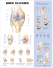 Knee Injuries Anatomical Chart - Book