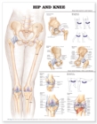 Hip and Knee Anatomical Chart - Book