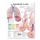 Understanding Asthma Anatomical Chart in Spanish (Entendiendo El Asma) - Book