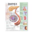 Understanding Type 2 Diabetes Anatomical Chart in Spanish (Comprendiendo la diabetes tipo 2) - Book