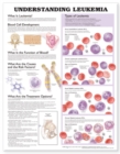 Understanding Leukemia Anatomical Chart - Book