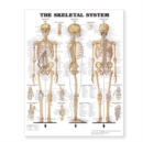 The Skeletal System Giant Chart - Book
