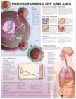 Understanding HIV and AIDS Anatomical Chart in Spanish (Entendiendo Que Son el VIH y el SIDA) - Book