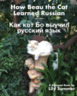 How Beau the Cat Learned Russian : A Bilingual Book - Book